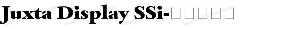 Juxta Display SSi字体转换